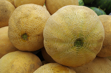 Wall Mural - Cantaloupe ripe large round