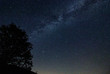 © Patrick - Milky Way starry night with tree silhouette
