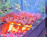 Fototapeta Dmuchawce - appetizing shish kebab on skewers cooked on the nature