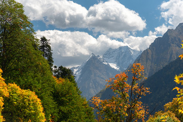 Wall Mural - Autumn landscape, mountains with blue sky surrounded by yellowing trees, Dombay Caucasus