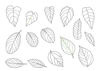 Wall Mural - Leaves line single leaf and leaf pattern black Bring to color decorate on white background illustration  vector