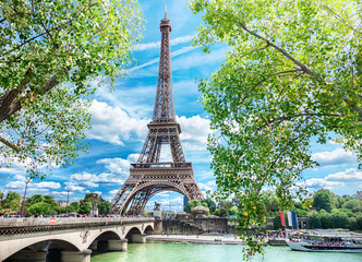 Wall Mural - view of paris with eiffel tower