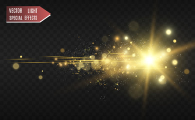 Wall Mural - beautiful golden vector illustration of a star on a translucent background with gold dust and glitte