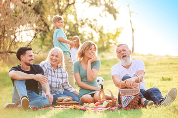 Big family having picnic in park