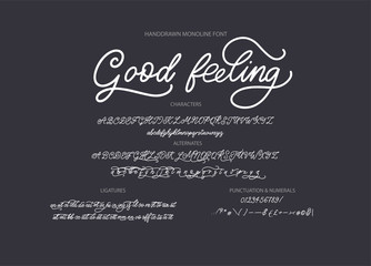 hand drawn calligraphic vector monoline font. distress signature letters. modern script calligraphy 