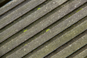 some plats on a wood plank