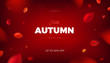 © Premium_art - Autumn sale background, nature design elements with red leaves