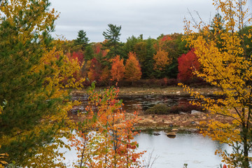 fall colors 2