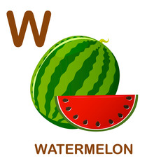 Watermelon icon with letter W. Cartoon style object. Vector Illustration.