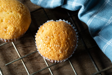 tasty pumpkin white sesame seed muffins, pumpkin cupcake.