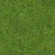 © BORIS - Seamless green grass texture