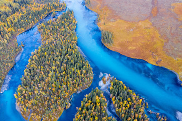 Wall Mural - xinjiang kanas landscape in autumn