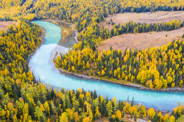 Wall Mural - xinjiang kanas river landscape in autumn