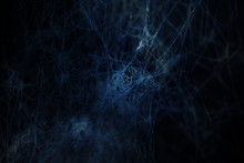 Spiderweb Or Cobweb Isolated On Black In The Darkness, Scary And Halloween Blue Abstract Background