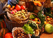 Obst Und Gemüse Vom Bio Bauer