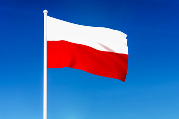 Wall Mural - Waving flag of Poland on the blue sky background