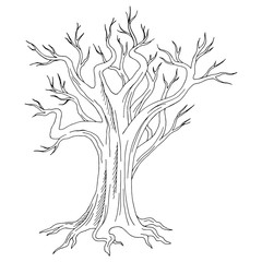 Old tree graphic black white isolated sketch illustration vector