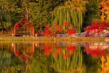 Evening In The Autumn City Park. Trees Are Reflected In The Pond.