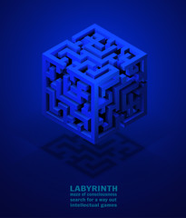 vector volumetric maze, search for solutions and yourself. mind games concept