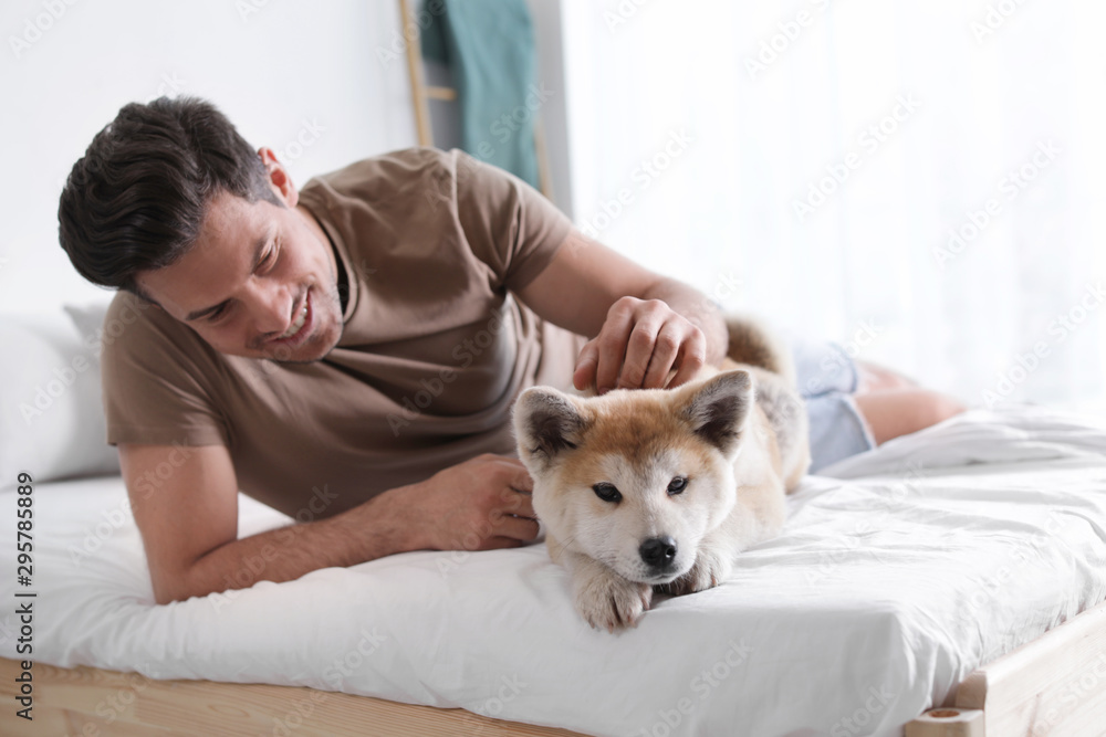 Man and adorable Akita Inu dog in bedroom - obrazy, fototapety, plakaty 