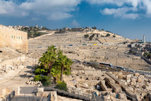 The Jerusalem Old City Wall And View Of The Mount Of Olives In Jerusalem, Israel.