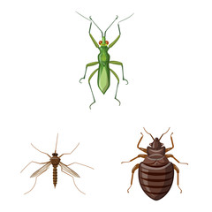 Wall Mural - Vector illustration of insect and fly icon. Collection of insect and element stock vector illustration.