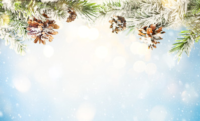 Wall Mural - christmas fir tree branches with pine cones on blurred blue .background. christmas and winter concep