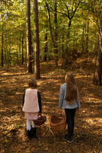 Two Long-haired Girls With Baskets Collecting Mushrooms In The Autumn Forest