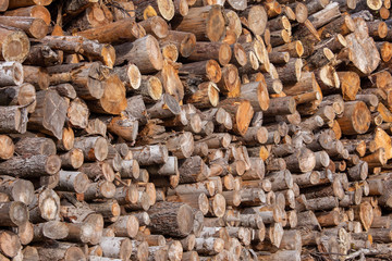 deforestation of mountain forests in northern apennines italy