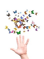 Sticker - hand releases a flock of butterflies. isolated on white