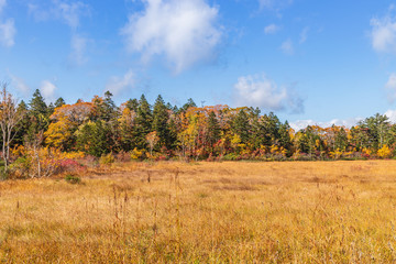 Towada Hachimantai National Park in early autumn