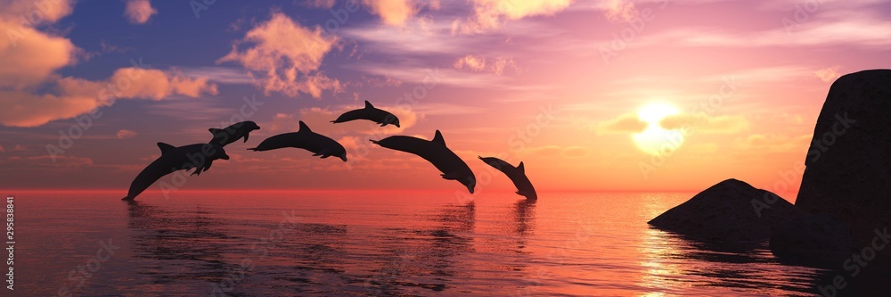 Playing dolphins at sunset. Seascape with dolphins.  - obrazy, fototapety, plakaty 