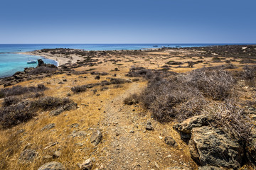 Chrissy island scenery on a sunny summer day with dry trees, brown soil and blue clear sky with haze.