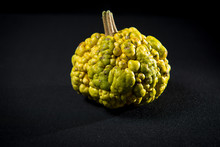 Isolated Green Decorative Warty Pumpkin On Black Background