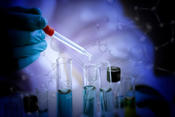 Wall Mural - laboratory concept; scientist use dropper to transfer chemical reagent to test tube. he observe the 