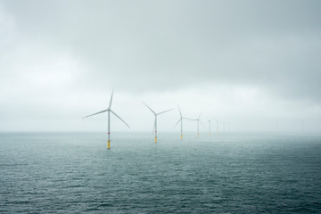 Wall Mural - Sunset over offshore wind farm - green power generation	