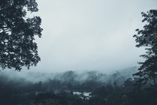 In The Mist And Rain Forest, Darkness