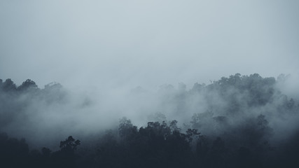 Fototapeta świt pejzaż jesień tropikalny góra