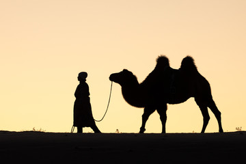 Mongolian nomadic woman with her bactrian camels in desert dunes at sunrise. Gobi desert, Mongolia.