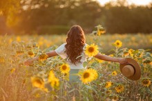 Young Asian Woman With Curly Hair In Field Of Sunflowers At Sunset. Lifestyle Portrait Of Young Beautiful Woman In The Sun.