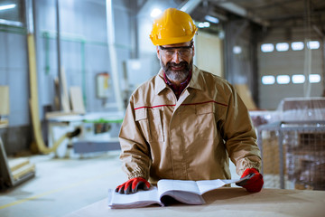 Wall Mural - Handsome middle aged worker checking documentation in the factory