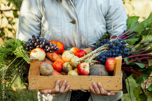 Cuadros en Lienzo Farmer girl holds in her hands a wooden box with a crop of vegetables and fruits, organic vegetables