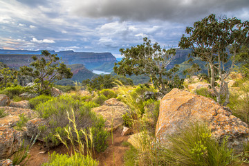 Sticker - Natural vegetation Blyde river canyon