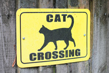 Cat Crossing Yellow Warning Road Sign For Cats