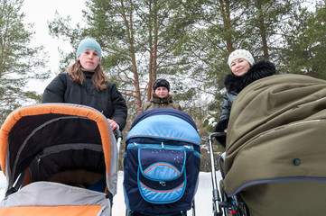 Wall Mural - Three young mothers walking with strollers in winter forest, portrait, looking at camera together