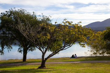 Wall Mural - Evening view of Te Anau lake, Fiordland, New Zealand