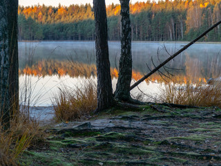 Wall Mural - landscape with beautiful lake shore, trees and colorful reflections, black wood silhouette in the foreground