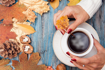 Female hands in a sweater warm their hands on a cup of hot coffee. On a wooden blue table are autumn leaves, nuts, cones