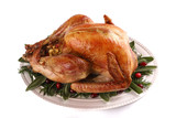 Fototapeta Most - Roast turkey isolated on white background, shallow focus