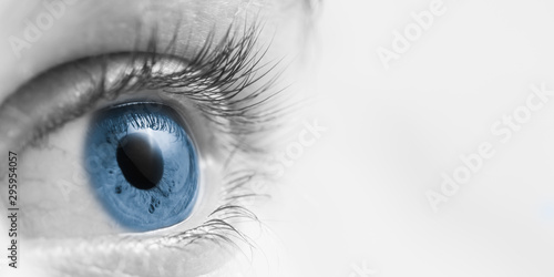 Cuadros en Lienzo Blue Eyeball/ Vision Concept